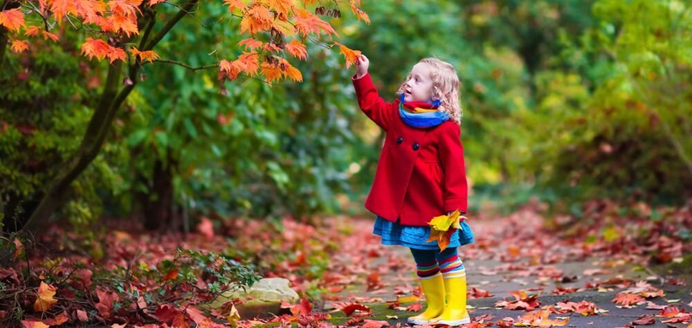 Aparat KODAK FZ43 zdjęcia obiektyw ekran wizjer ogniskowa przysłona migawka obudowa bateria zasilanie filmy nagrywanie rozdzielczość matryca rozmiar przekątna tryby iso montaż lampa światło przyciski sterowanie menu kontrast jasność balans bieli filtry cmos karta pliki format zapis seria