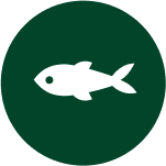 Ikona przedstawia biały symbol ryby na ciemnozielonym tle.