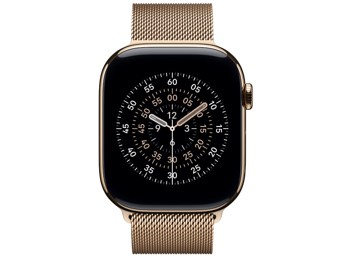 Bransoleta mediolańska do Apple Watch Mediolanie pod koniec XIX wieku Bransoleta mediolańska pleciona na wyspecjalizowanych włoskich maszynach gładką siateczką ze stali nierdzewnej Magnetyczne zapięcie powłoka PVD - bransoletka na zegarku od przodu