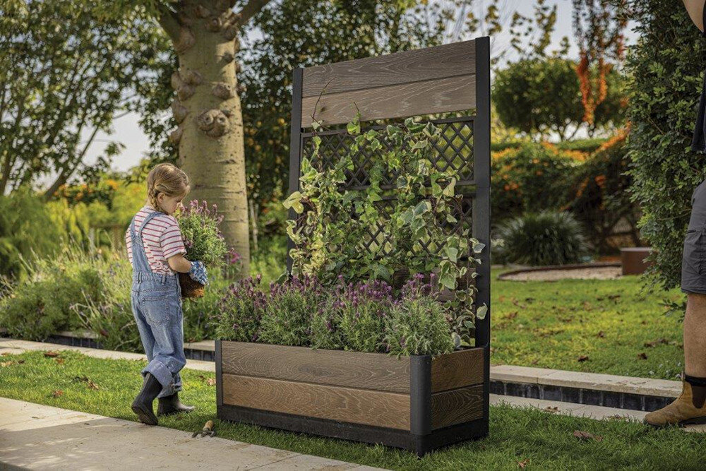 Doniczka KETER Deco Tulip 263871 (109,6 x 44,4 x 156,3 cm) 110L Orzech zdjęcie lifestyle Duża przestrzeń dla roślin