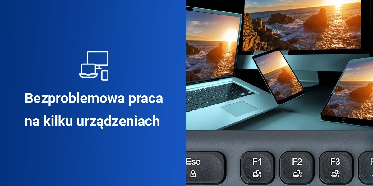 Klawiatura HAMA WK-300 Multi-Device Assist AI Czarny,
				możliwość jednoczesnego sparowania z trzema urządzeniami poprzez 1 kanał radiowy i 2 połączenia bluetooth, szybkie przełączanie między urządzeniami za pomocą jednego przycisku,
				 niebieskie tło, laptop, tablet, smartfon, przyciski do przełączania urządzeń