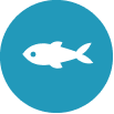 Ikonka ryb