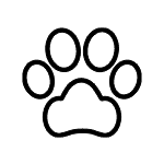 Samsung Bespoke VS20B95843W: obrazek - Pet Tool