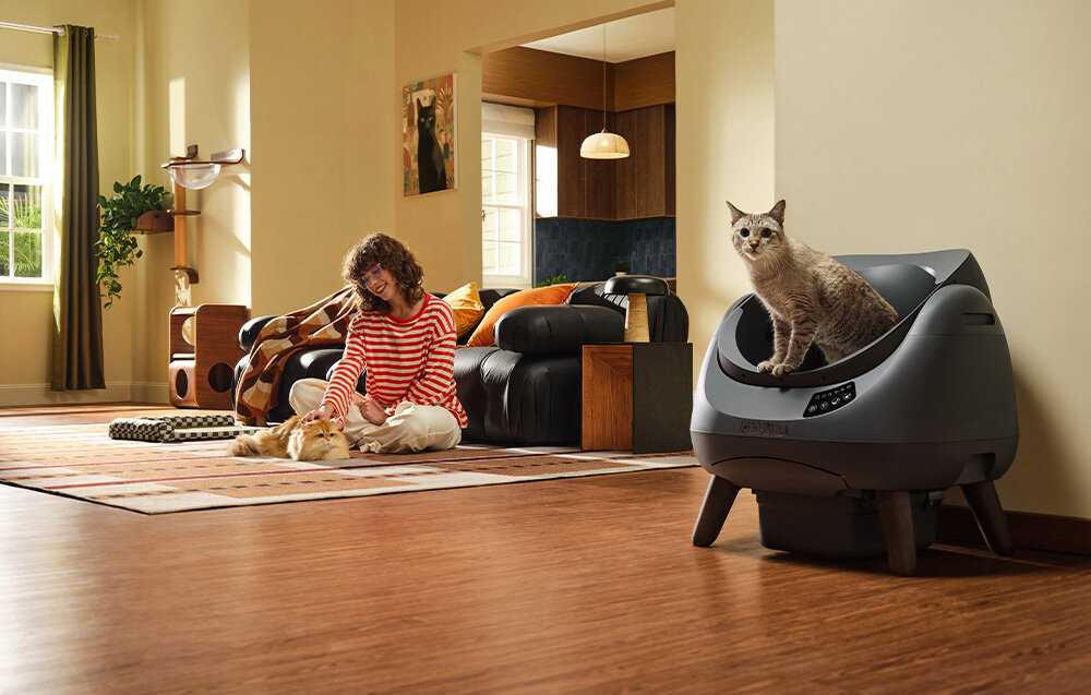 Inteligentna kuweta dla kota CATLINK Open X Szara Analiza aktywności kotów Wbudowane czujniki wagi Po około 7 dniach adaptacji system tworzy raporty tygodniowe