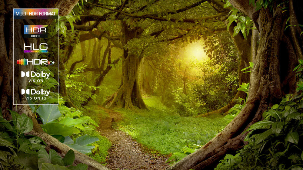 Telewizor TCL C845  - hdr