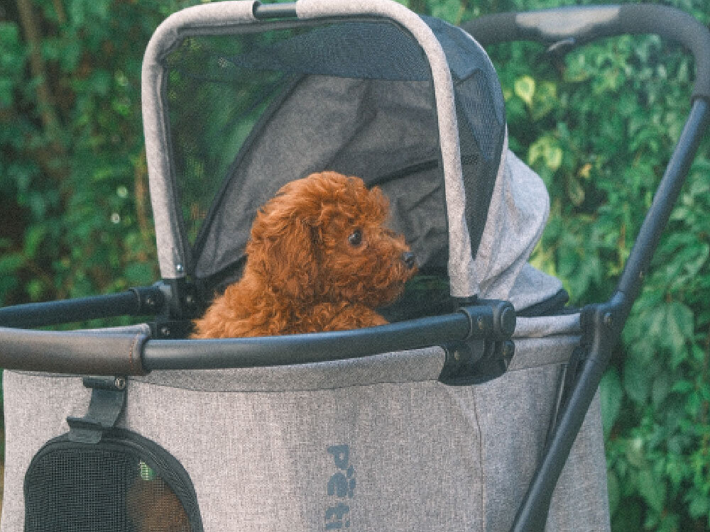 Wózek dla zwierząt PETIGIO PETI-700 Peti-to-Travel Mały brązowy piesek siedzący wewnątrz szarego transportera wózka dla zwierząt z częściowo podniesioną budką z siatki.
