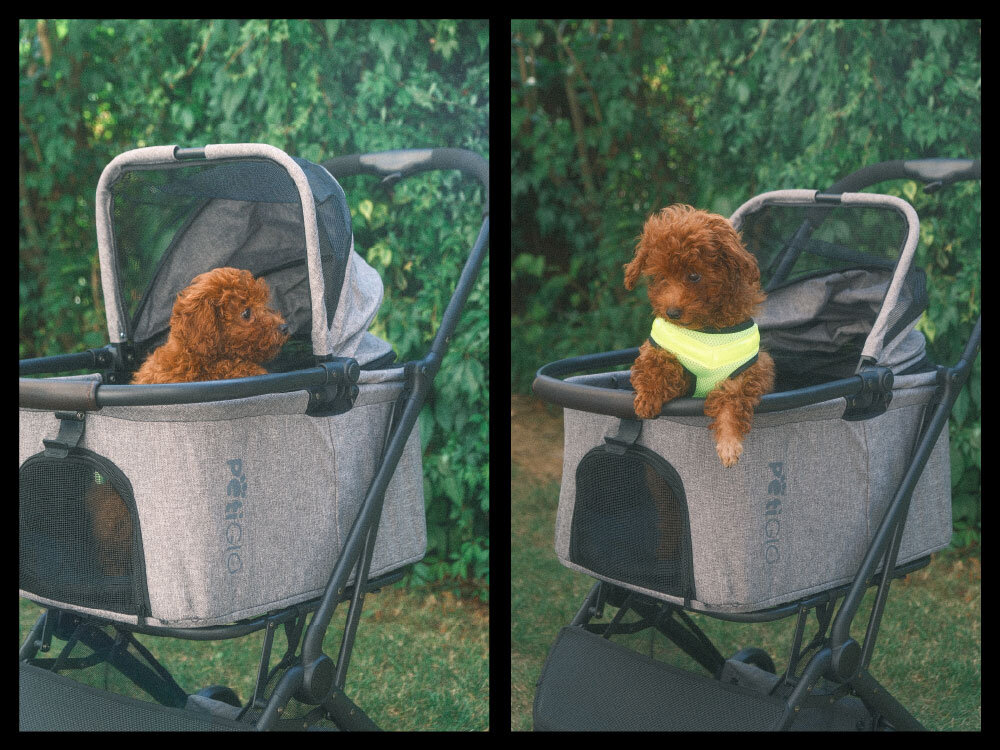 Wózek dla zwierząt PETIGIO PETI-700 Peti-to-Travel Zestawienie dwóch zdjęć wózka PetiGio: po lewej pies w transporterze z otwartą górą, po prawej pies w odblaskowych szelkach opierający łapy o krawędź.
