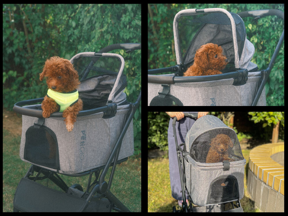 Wózek dla zwierząt PETIGIO PETI-700 Peti-to-Travel Kolaż trzech zdjęć prezentujący różne konfiguracje wózka dla psa: z całkowicie otwartym, częściowo zamkniętym i w pełni osłoniętym siatką transporterem.