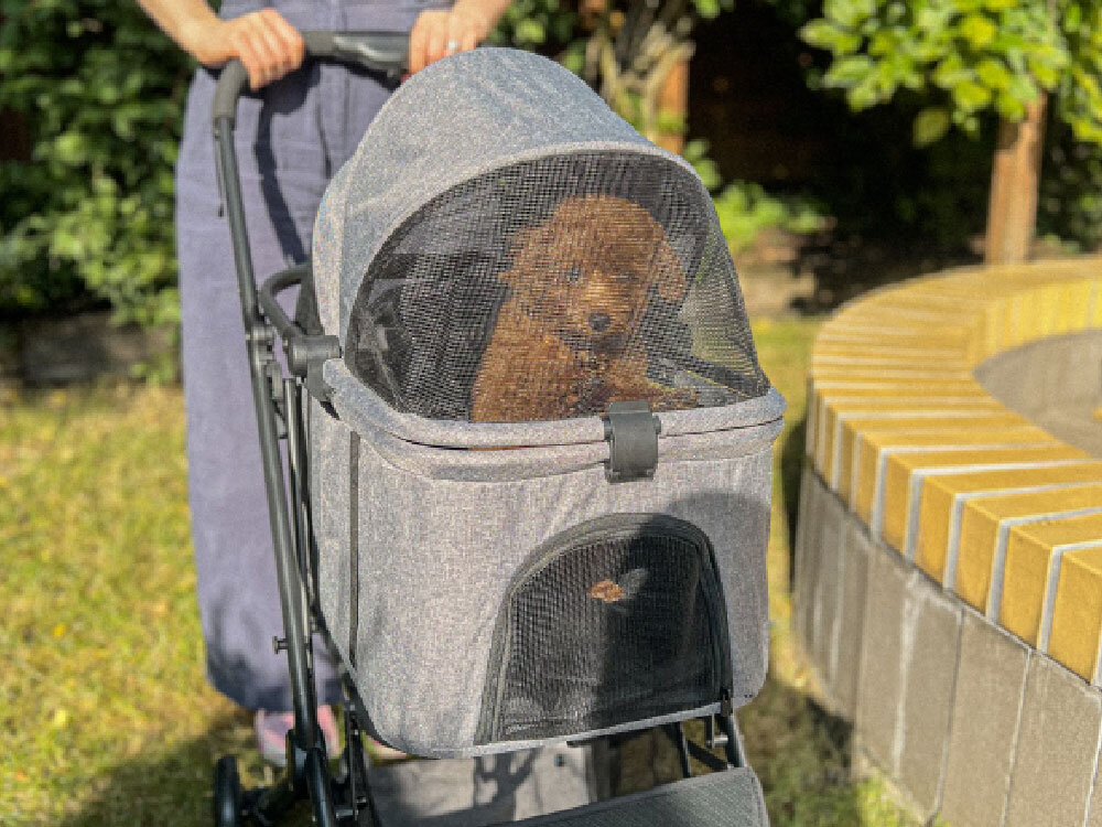 Wózek dla zwierząt PETIGIO PETI-700 Peti-to-Travel Osoba prowadząca szary wózek PetiGio z psem wewnątrz, w którym całkowicie zamknięta osłona z siatki zapewnia widoczność i wentylację.