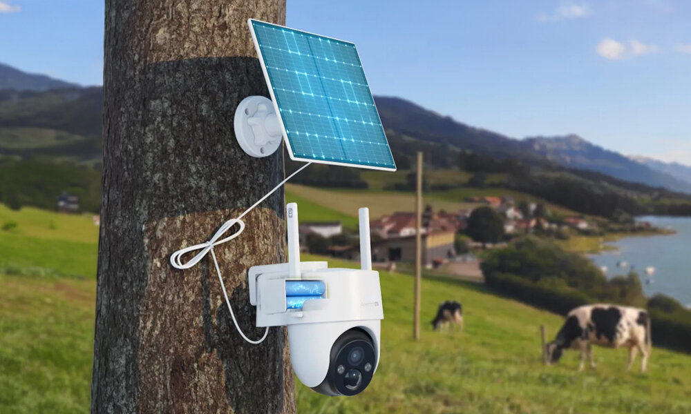 Na pniu drzewa jest zamontowana kamera Arenti z panelem solarnym. W tle znajduje się wiejski krajobraz z krowami.
