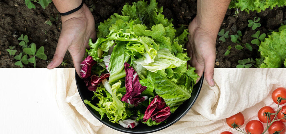 LODÓWKA LG GBV7280CEV świeżość na długo trzy funkcje