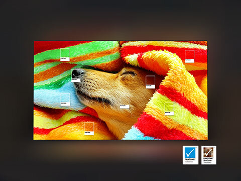 pantone validated dostępny w Telewizorze OLED S85F 4K