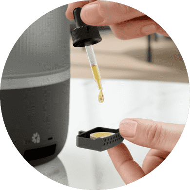 Kojąca aromaterapia