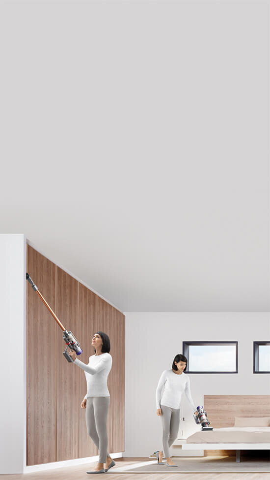 Dyson-49686140-V10_Animal_Desktop_1