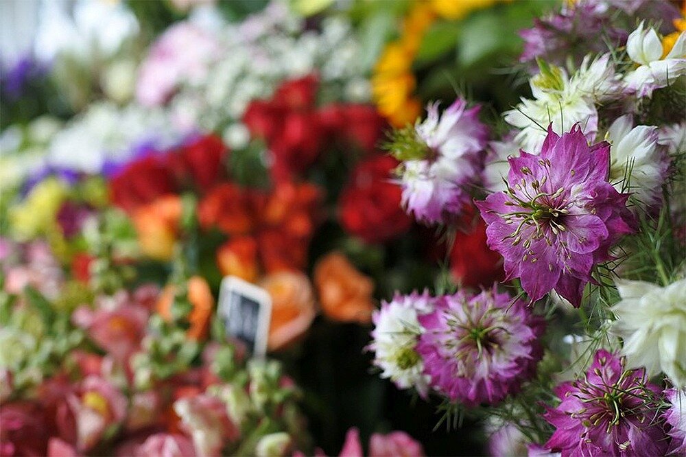 Aparat NIKON 1 J5  matryca obiektyw zdjęcia przysłona af ekran bateria 