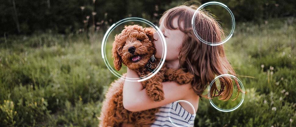 ai upscaling pc w Telewizorze OLED S85F 4K dostępny w sklepach Media Expert