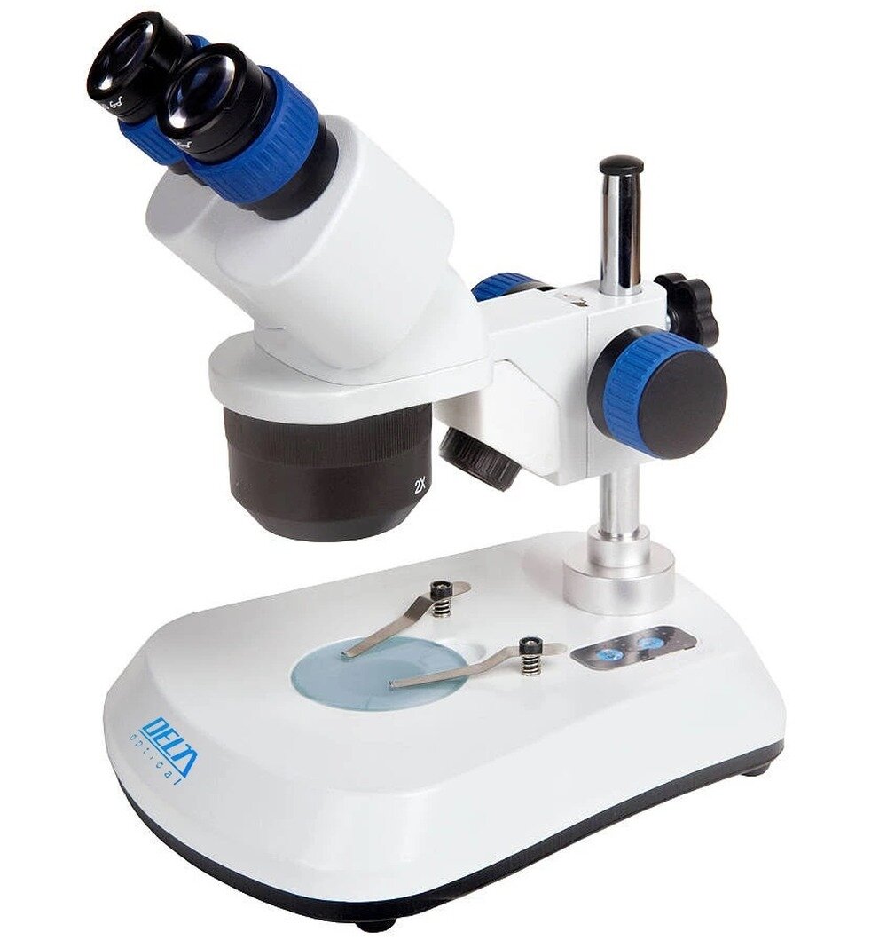 Mikroskop DELTA OPTICAL Discovery 50 opis
