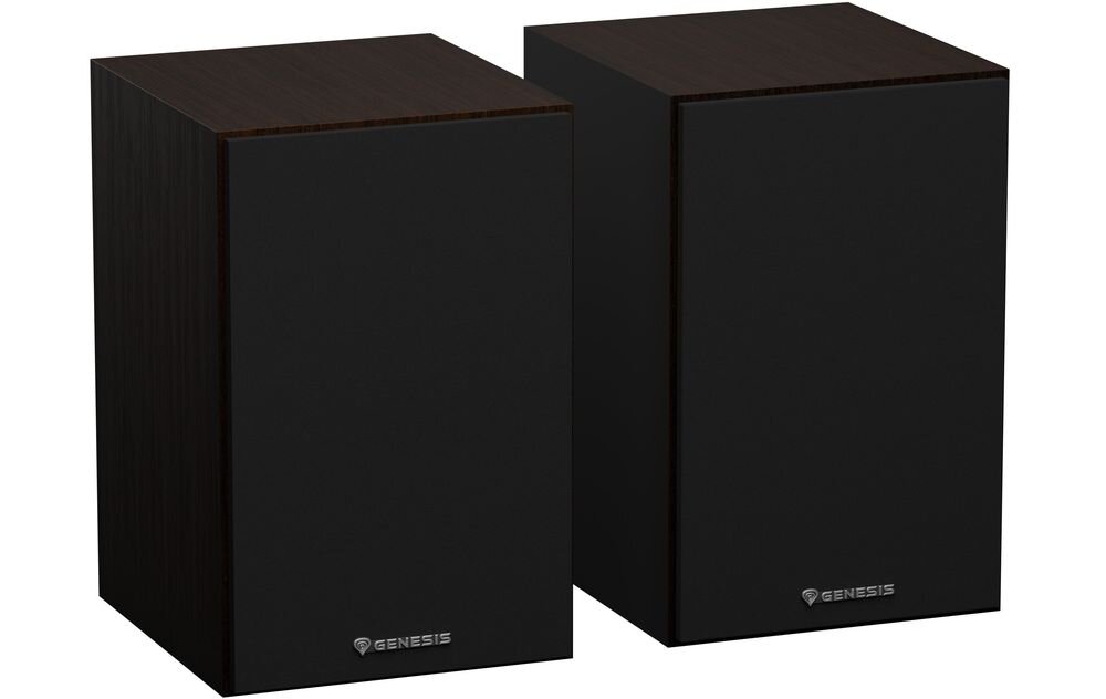 Głośniki GENESIS Arsen 302BT 2.0 dźwięk przestrzenny gry muzyka filmy, głośniki po skosie na białym tle