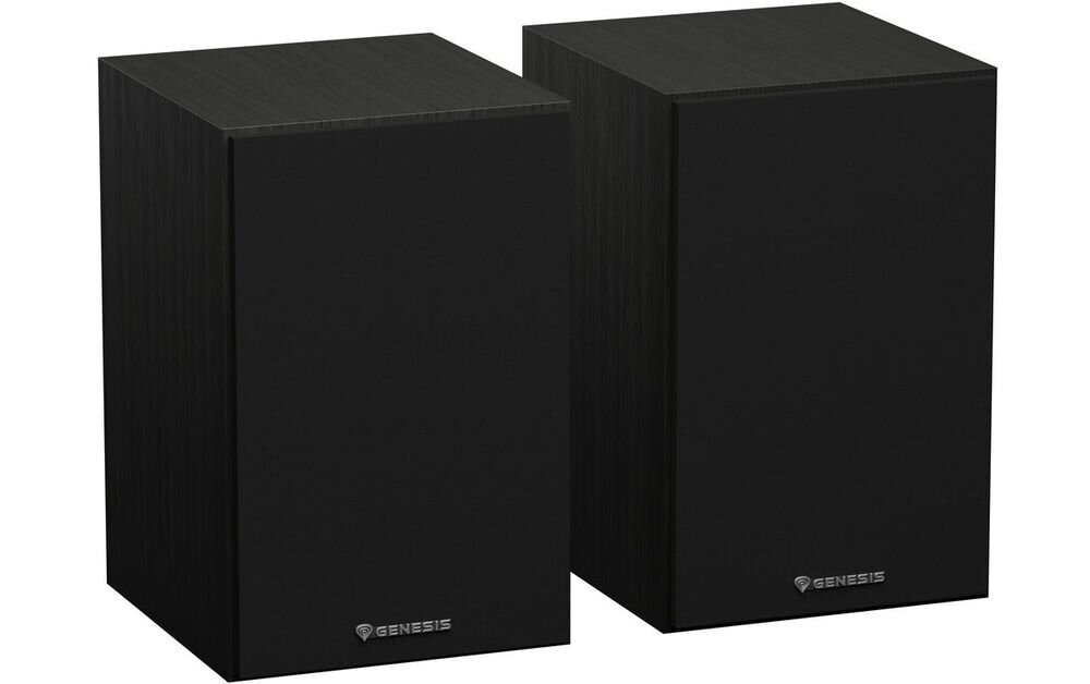 Głośniki GENESIS Arsen 302BT 2.0 dźwięk przestrzenny gry muzyka filmy, głośniki po skosie na białym tle
