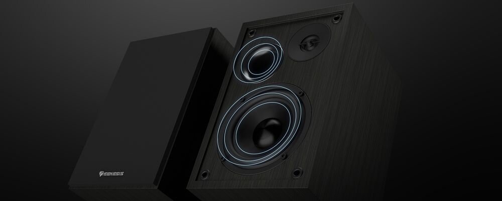 Głośniki GENESIS Arsen 302BT 2.0 zbalansowane brzmienie bas soprany multimedia, głośniki po skosie na czarnym tle