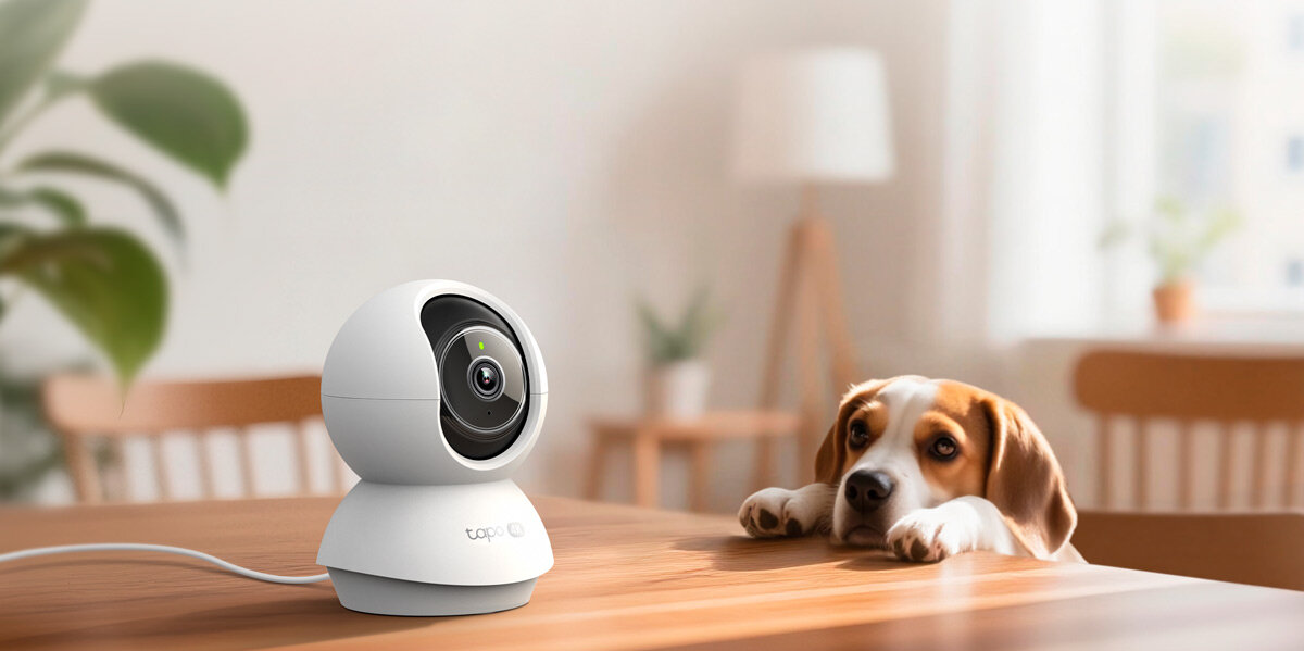 Kamera TP-LINK Tapo C250 Wewnętrzna, Wi-Fi, Kamera obrotowa, Monitoring, dom, kontrola, bezpieczeństwo, Estetyczna kamera na biurku obok książek.