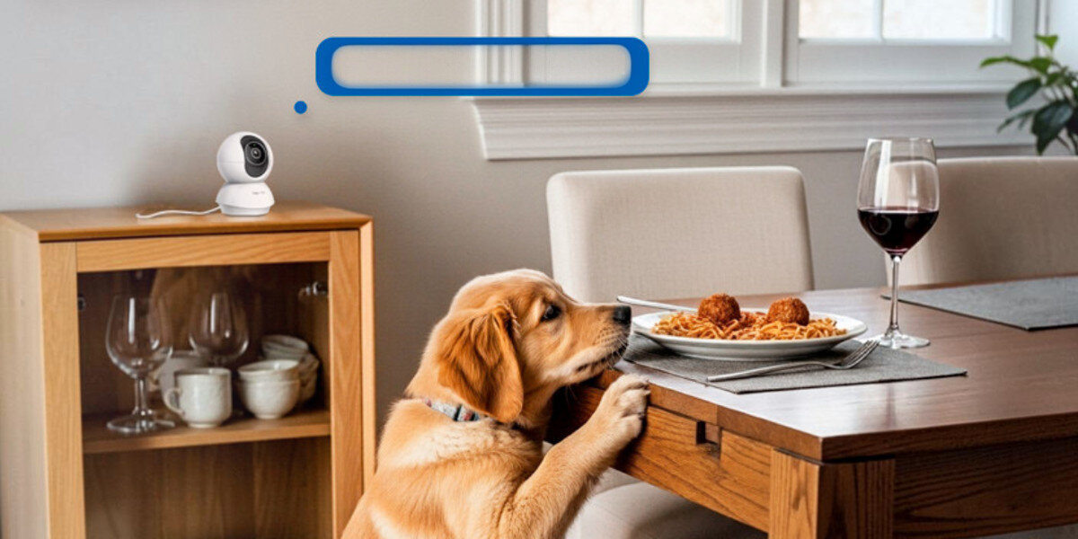 Kamera TP-LINK Tapo C250 Wewnętrzna, Wi-Fi, Kamera obrotowa, Audio, komunikacja, mikrofon, głośnik, Dwukierunkowa komunikacja głosowa z domownikami.