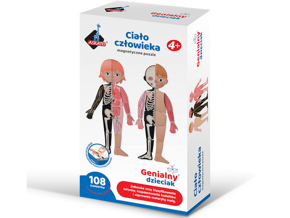 Puzzle magnetyczne ASKATO Genialny Dzieciak Ciało człowieka 127798 Opakowanie gry edukacyjnej Ciało człowieka - magnetyczne puzzle marki Askato z serii Genialny Dzieciak, zawierające 108 elementów dla dzieci powyżej 4 lat.