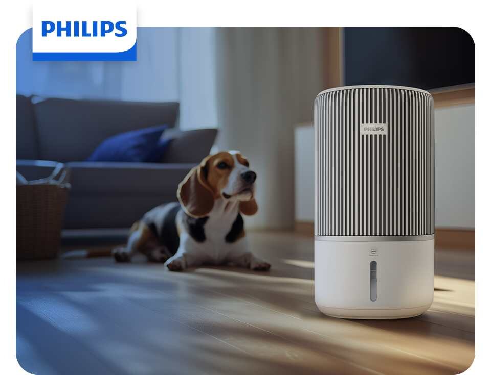 Na podłodze w salonie stoi oczyszczacz powietrza z logo PHILIPS, obok którego leży pies. W tle widoczna jest kanapa i zasłony.