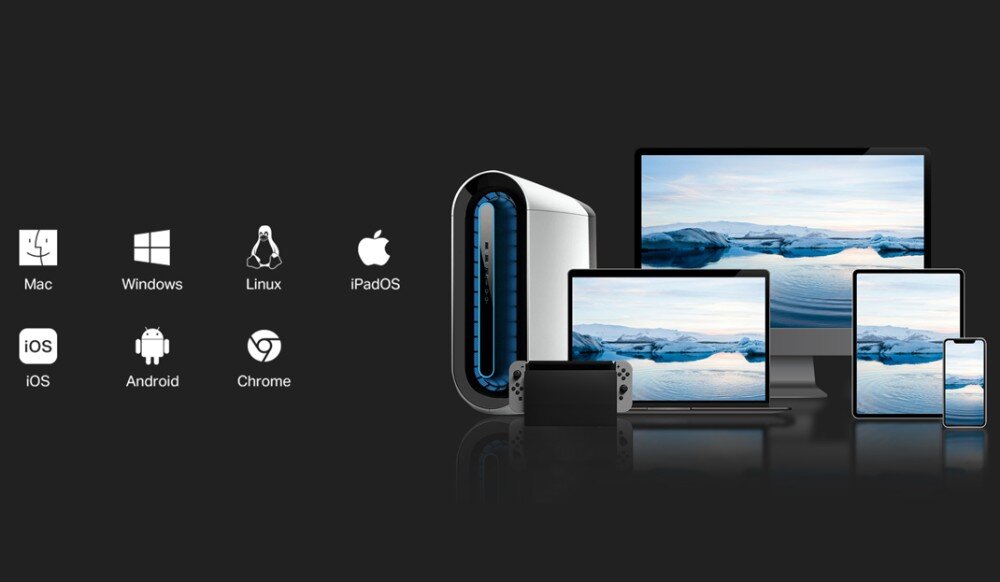 Karta sieciowa TP-LINK UE310C Zestaw różnych urządzeń elektronicznych takich jak komputer stacjonarny, laptop, tablet, smartfon i konsola wraz z ikonami obsługiwanych systemów operacyjnych: Mac, Windows, Linux, iPadOS, iOS, Android oraz Chrome