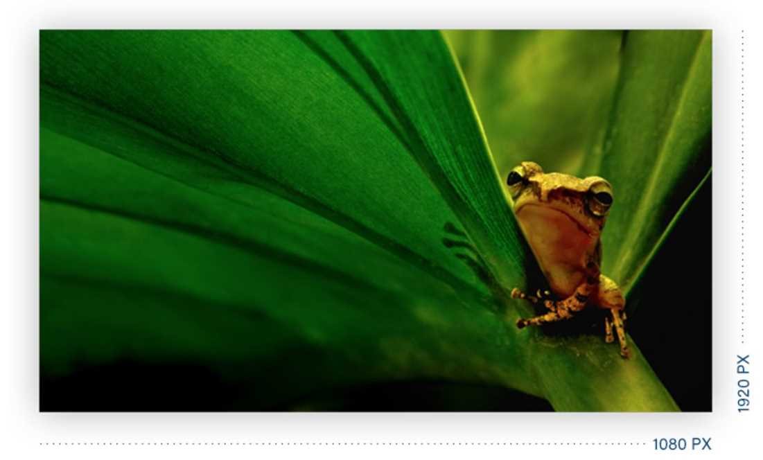 Monitor AOC M2470SWDA2 - Rozdzielczość Full HD