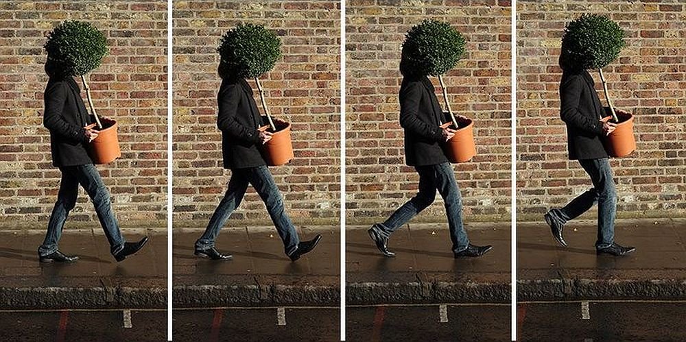 aparat canon EOS M6 autofocus