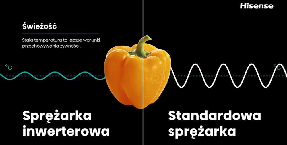 LODÓWKA HISENSE RQ5P470SMFE lifestyle wizualizacja tylny panel ściana metal ochrona tylny panel metalowa ściana stabilne ustawienie przy ścianie bezpieczeństwo wygoda