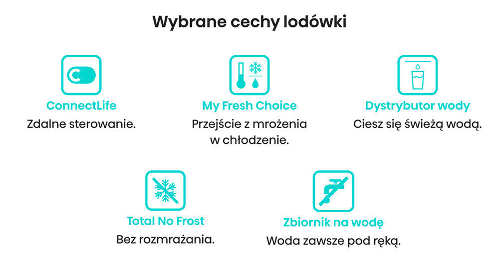 LODÓWKA HISENSE RQ5P470SMFE lifestyle wizualizacja cechy najważniejsze wyróżniki ikony Connectlife MyFresh Choice dystrybutor wody Total No Frost Zbiornik na wodę