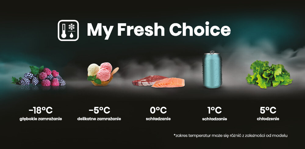 HISENSE komora komora lodówka potrzeby zakres regulacja temperatura głębokie mrożenie