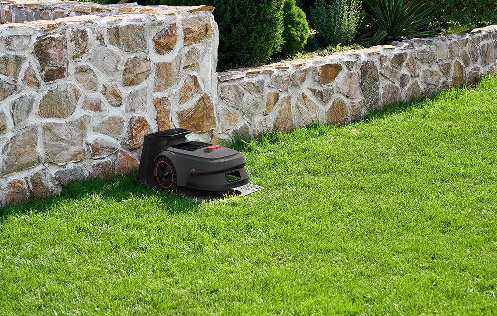 Robot koszący znajduje się na trawniku obok kamiennego muru. Urządzenie jest czarne z czerwonymi akcentami.
