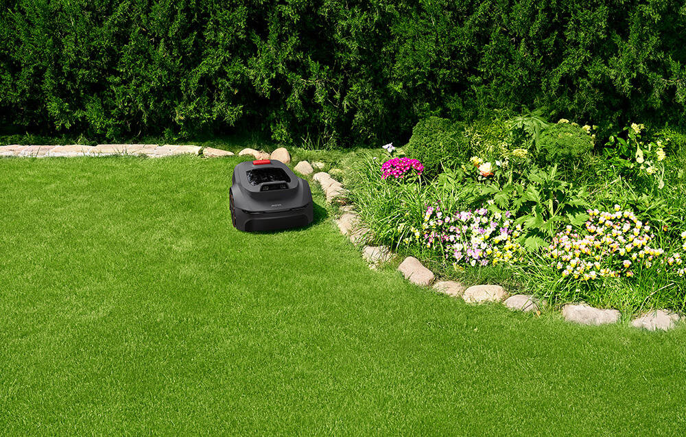 Na trawniku znajduje się czarny robot koszący, obok którego rośnie kwiatowy ogród otoczony kamieniami. W tle widoczny jest żywopłot.