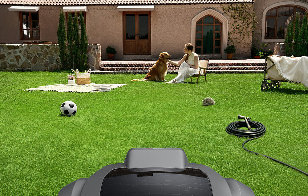 Na trawniku przed domem znajduje się piłka, kosz piknikowy, wąż ogrodowy i jeż. Na pierwszym planie widoczny jest fragment robota koszącego.