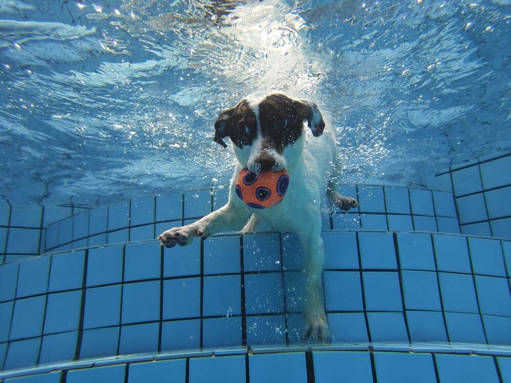 Smartfon REALME GT7 Pro Fotografia 