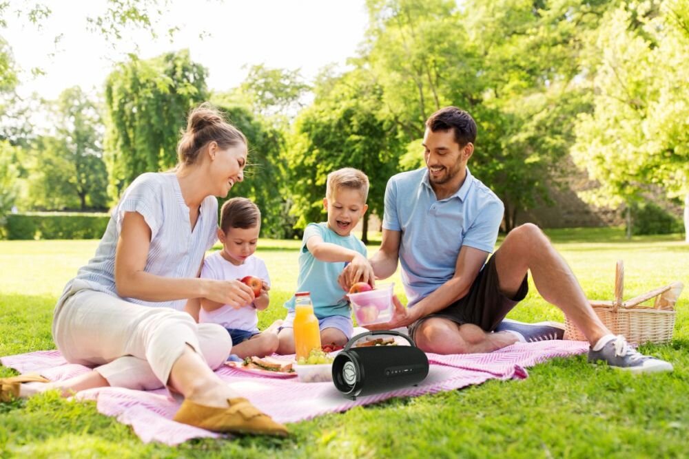 Głośnik mobilny MANTA SPK140GO-BK Radio FM Czarny radio fm stacje niezawodnosc obsluga