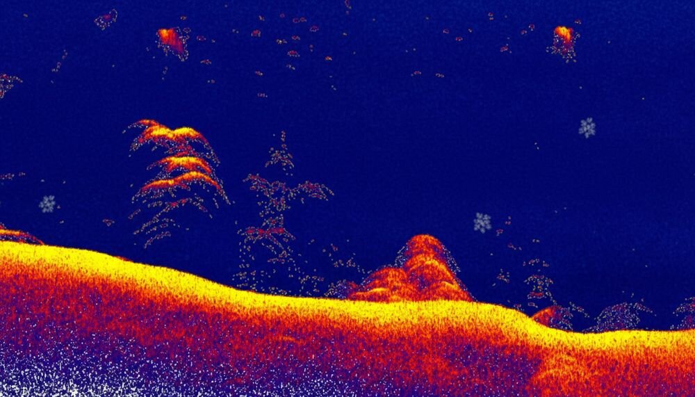 LOWRANCE Eagle Eye 9 Live echosonda wędkarska sonar CHIRP wysoka rozdzielczość ryby przy dnie, kadr z urzadzenia