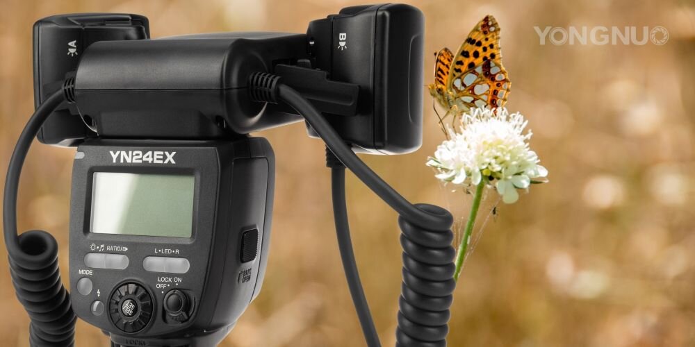 Tylna część lampy YN24EX z ekranem LCD i podwójnymi głowicami, obok motyl na białym kwiecie.
