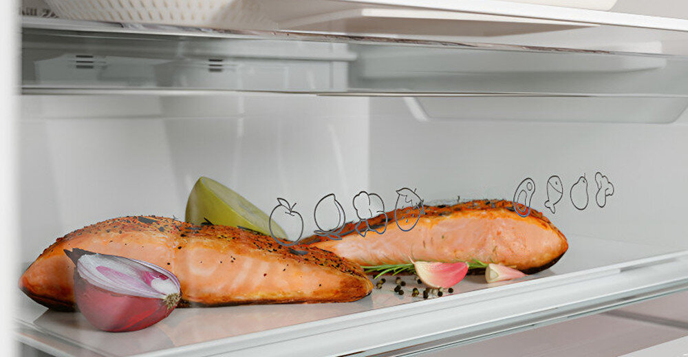 LODÓWKA HISENSE RB440N4ACA szuflada niska temperatura mięso sery wędliny