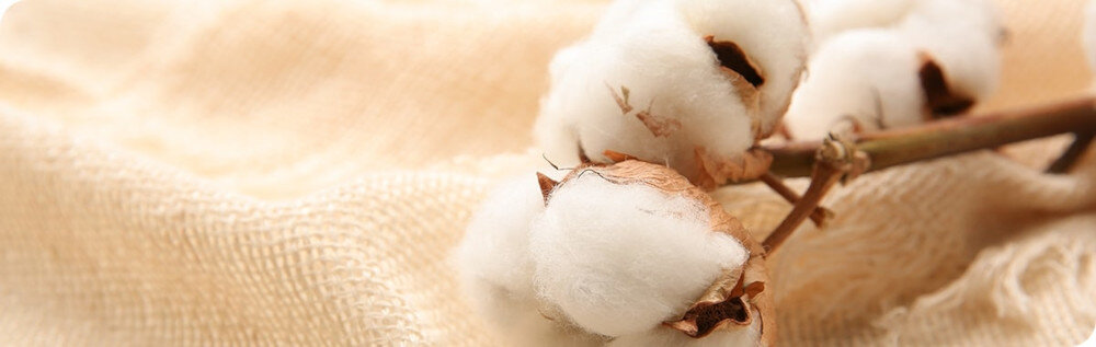 Masażer BEURER MG 100