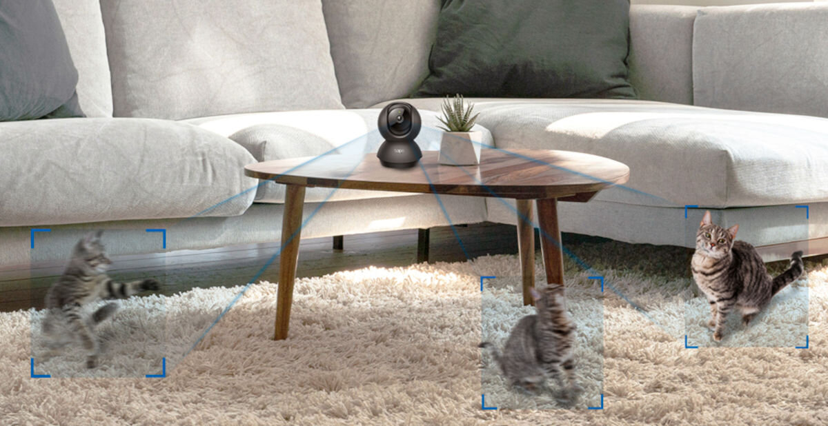 Kamera TP-LINK Tapo C201 Wewnętrzna, Wi-Fi, Kamera obrotowa, płacz, powiadomienia, aktywność, śledzenie, w tle sofa, stół, kamera, dywan, po pokoju przebiega kot