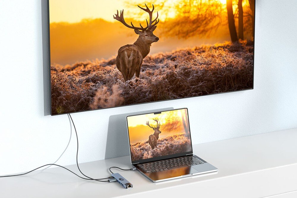 Hub HAWK HW-HUB801 8w1 Laptop podłączony do dużego telewizora za pomocą huba USB-C. Na obu ekranach wyświetlony jest obraz jelenia w jesiennej scenerii, obraz, port HDMI, rozdzielczość