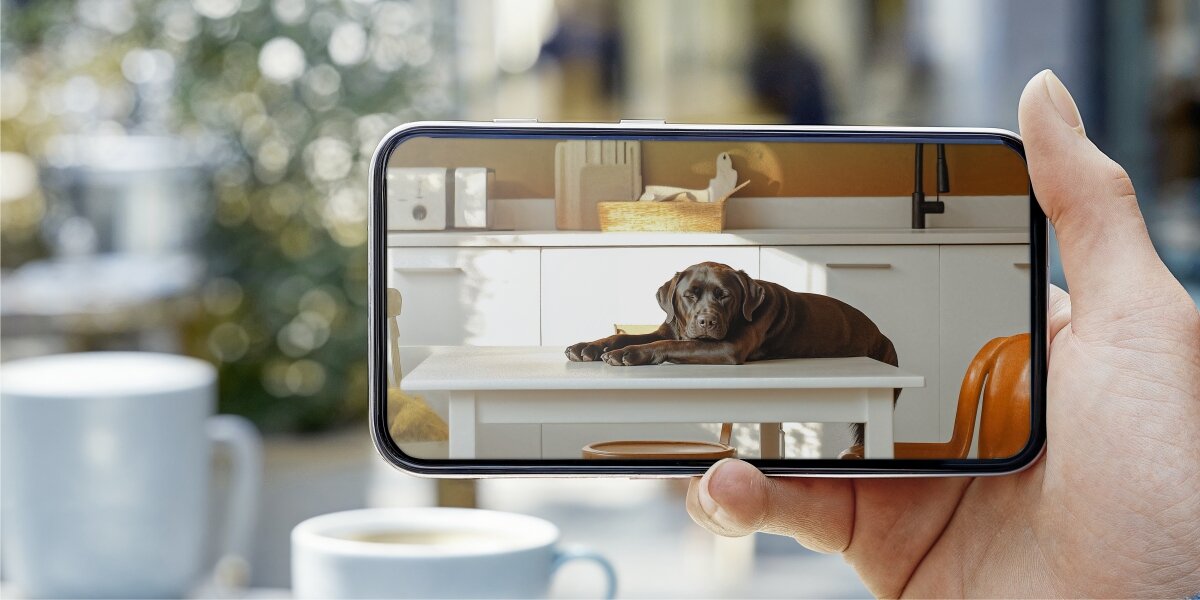 Kamera inteligentna HAMA 176651 Wewnętrzna, WLAN Czarny, mikrofon, bliscy, opieka, domofon, w tle restauracja, osoba trzyma telefon i ogląda co się dzieje w domu