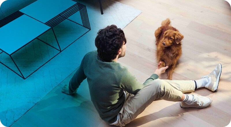 Czysty dom bez wysiłku