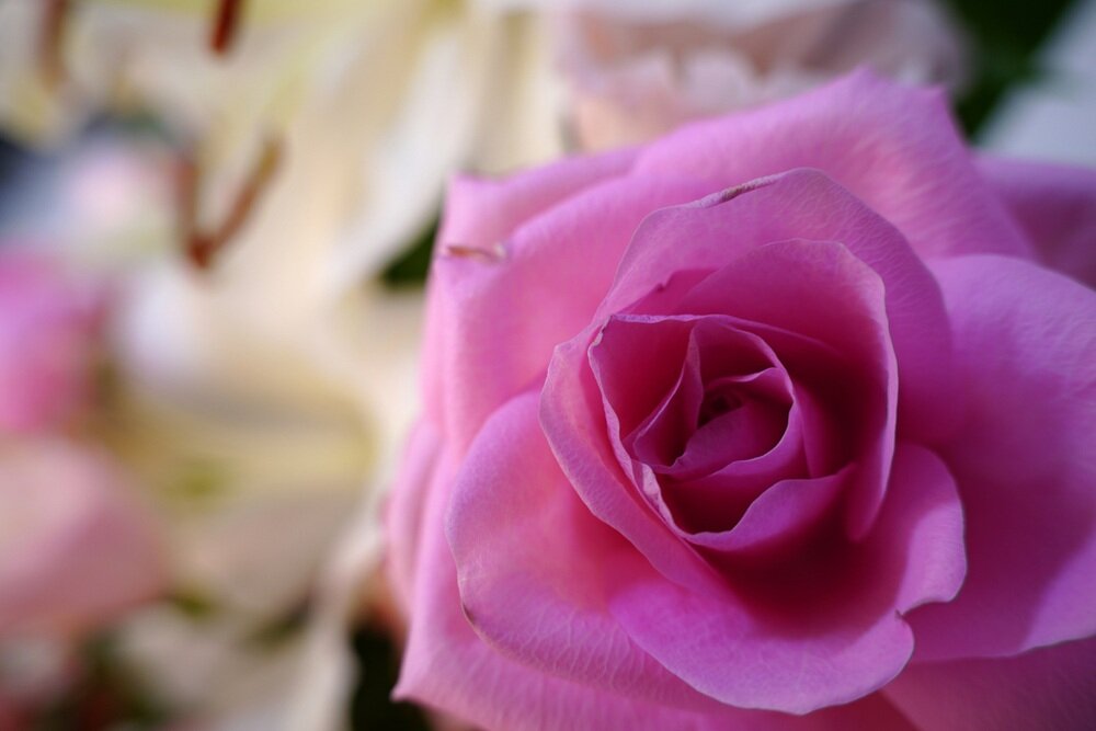 Obiektyw SIGMA C 18-50mm f-2.8 DC DN makro 