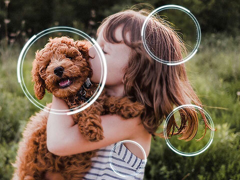 skalowanie ai 4k w Telewizorze OLED S85F 4K dostępny w sklepach Media Expert