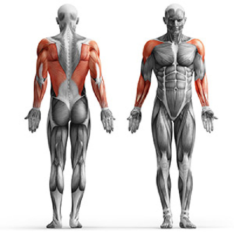 Wyciag MARBO SPORT MH-W101 Cwiczenia